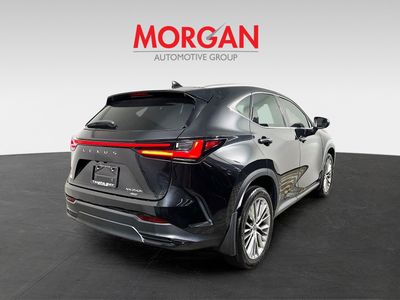 2023 Lexus NX — rear three-quarter view