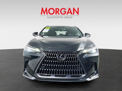 2023 Lexus NX — photo 8 view