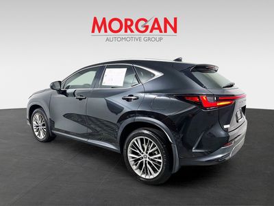 2023 Lexus NX — detail view