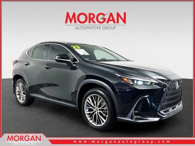 2023 Lexus NX 350h Premium in Black — front three-quarter view