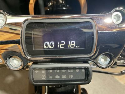 2022 Harley-Davidson Softail Standard - Photo 11