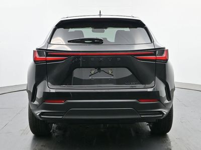 2026 Lexus NX - Photo 4