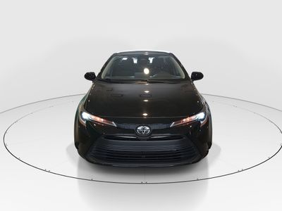 2024 Toyota Corolla - Photo 2