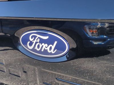 2025 Ford F-150 — photo 11 view
