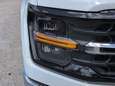 2025 Ford F-150 - Photo 10