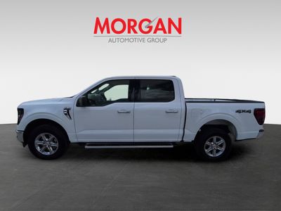 2025 Ford F-150 - Photo 8