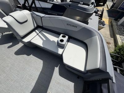 2025 Sylvan A 22 LZ DH Sport — photo 20 view