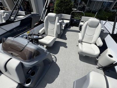 2025 Sylvan A 22 LZ DH Sport — photo 7 view