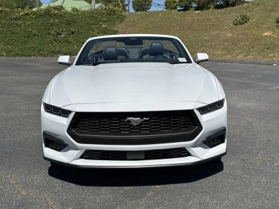 2025 Ford Mustang - Photo 2