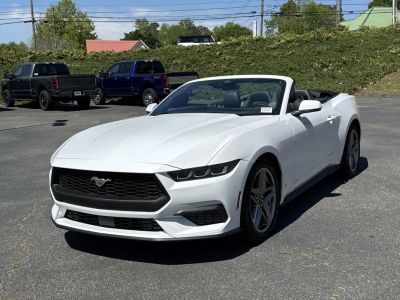 2025 Ford Mustang - Photo 3