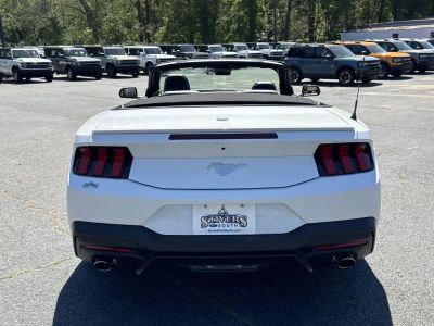 2025 Ford Mustang - Photo 6
