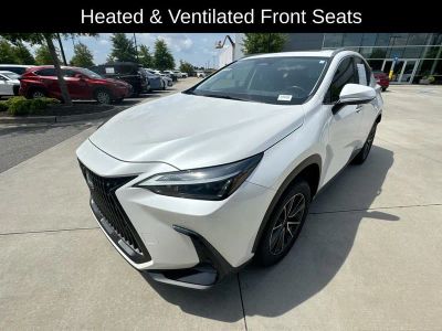 2024 Lexus NX — detail view