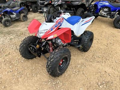 2026 Honda TRX250X - Photo 3