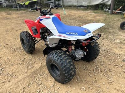 2026 Honda TRX250X - Photo 5