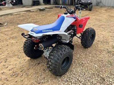 2026 Honda TRX250X - Photo 8