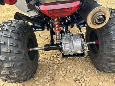 2026 Honda TRX250X - Photo 9