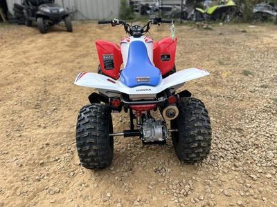 2026 Honda TRX250X - Photo 12