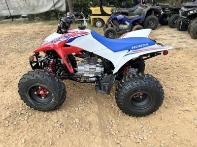 2026 Honda TRX250X - Photo 2