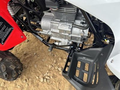 2026 Honda TRX250X - Photo 4