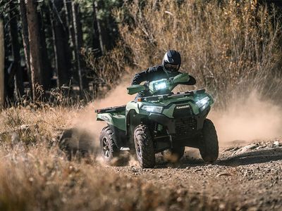 2025 Kawasaki Brute Force 750 LE EPS - Photo 20
