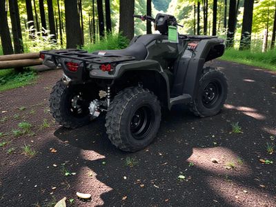 2026 Honda FourTrax Foreman 4x4 EPS - Photo 2