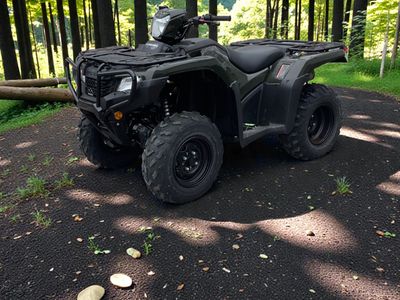 2026 Honda FourTrax Foreman 4x4 EPS - Photo 4