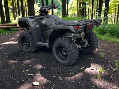 2026 Honda FourTrax Foreman 4x4 EPS - Photo 3