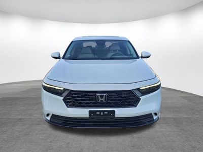 2023 Honda Accord — side profile view