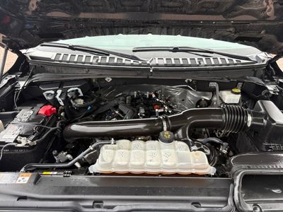 2024 Ford Expedition Max — photo 10 view