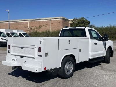 2025 Ford Chassis Cab — rear three-quarter view