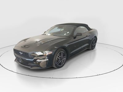 2023 Ford Mustang - Photo 3