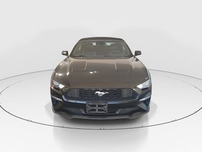 2023 Ford Mustang - Photo 2