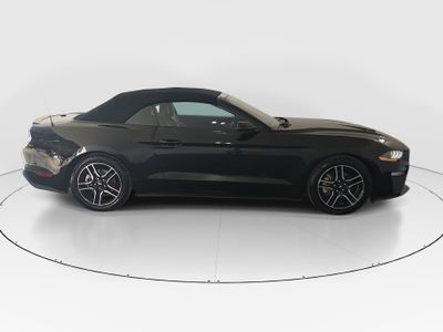 2023 Ford Mustang - Photo 8