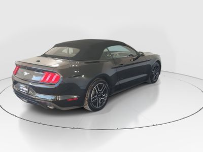 2023 Ford Mustang - Photo 7
