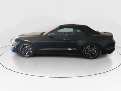 2023 Ford Mustang - Photo 4