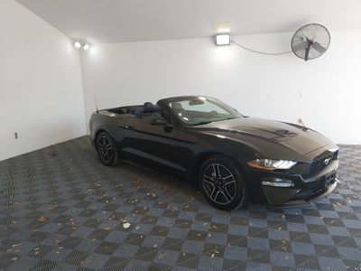 2023 Ford Mustang - Photo 19