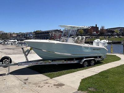 2024 Bulls Bay 255CC — photo 25 view