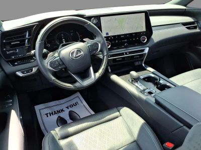 2024 Lexus RX — detail view