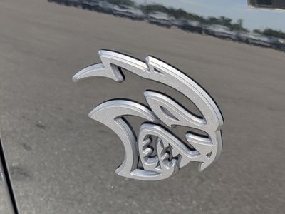 2023 Dodge Durango — photo 13 view