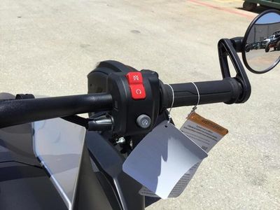 2025 Can-Am Ryker Rotax 600 ACE — photo 14 view