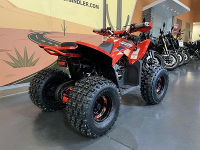 2026 Denago Powersports Trailhawk 10 FI - Photo 4