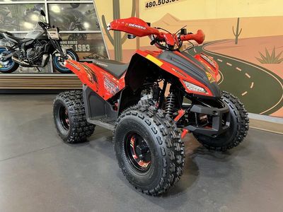 2026 Denago Powersports Trailhawk 10 FI - Photo 2