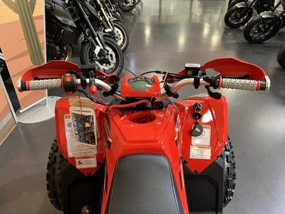 2026 Denago Powersports Trailhawk 10 FI - Photo 6