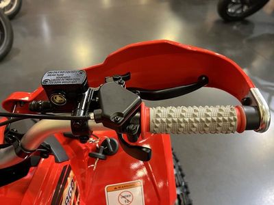 2026 Denago Powersports Trailhawk 10 FI - Photo 10