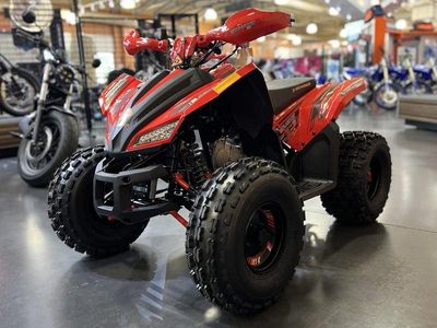 2026 Denago Powersports Trailhawk 10 FI - Photo 22