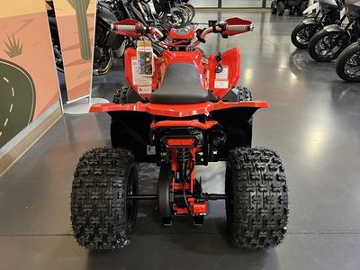 2026 Denago Powersports Trailhawk 10 FI - Photo 5