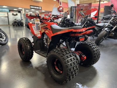 2026 Denago Powersports Trailhawk 10 FI - Photo 20