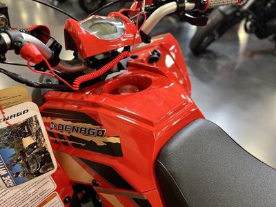 2026 Denago Powersports Trailhawk 10 FI - Photo 21