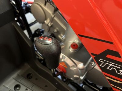 2026 Denago Powersports Trailhawk 10 FI - Photo 24