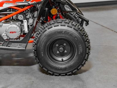 2025 Kayo Predator 125 EFI - Photo 11
